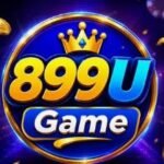 899u game